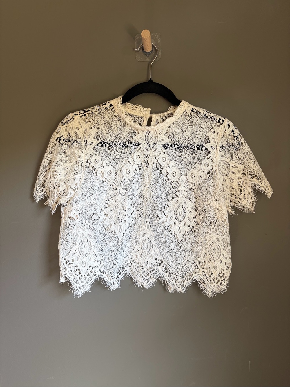 Women's White Lace Short Sleeve Crop Top
